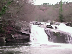 DSCN2090 DSCN2090