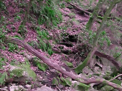 DSCN2091 DSCN2091
