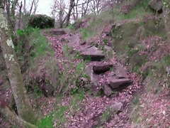 DSCN2099 DSCN2099