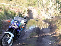DSCN2019 DSCN2019