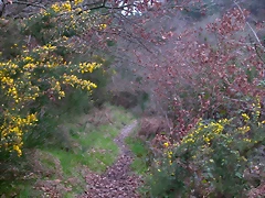 DSCN2057 DSCN2057