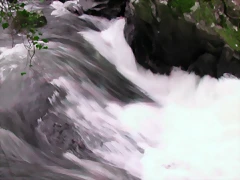 DSCN2087 DSCN2087
