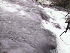 DSCN2094 DSCN2094