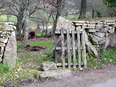 DSCN1993