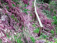 DSCN2060 DSCN2060