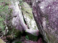 DSCN2072 DSCN2072