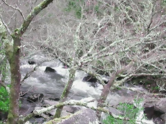 DSCN2078 DSCN2078