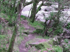 DSCN2079 DSCN2079