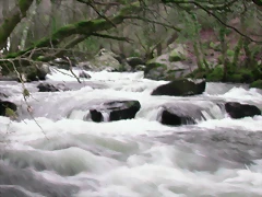 DSCN2082 DSCN2082