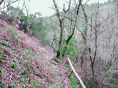 DSCN2061 DSCN2061