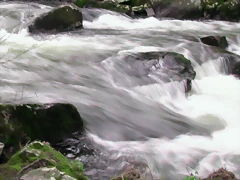 DSCN2083 DSCN2083