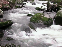 DSCN2084 DSCN2084