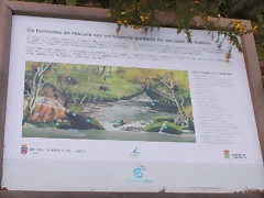 DSCN2033 DSCN2033