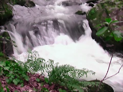 DSCN2086 DSCN2086