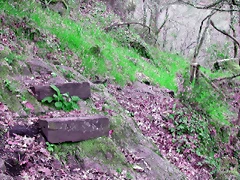 DSCN2063 DSCN2063
