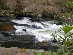DSCN2064 DSCN2064