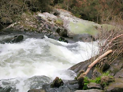 DSCN2065 DSCN2065