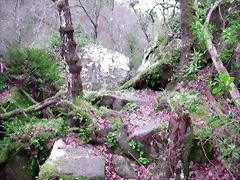 DSCN2074 DSCN2074