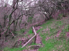 DSCN2100 DSCN2100