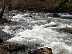 DSCN2038 DSCN2038
