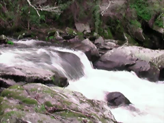 DSCN2080 DSCN2080
