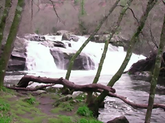 DSCN2088 DSCN2088