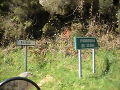 DSCN3990 DSCN3990