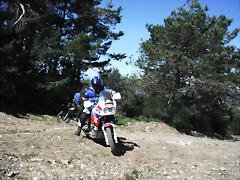 DSCF2509 DSCF2509