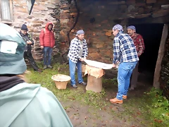 DSCN0287 DSCN0287
