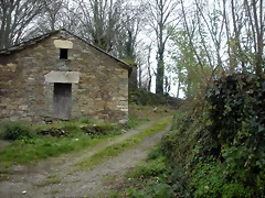 DSCN0911 DSCN0911