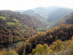 DSCN0537 DSCN0537