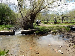 DSCN9764