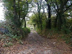 DSCN8498 DSCN8498