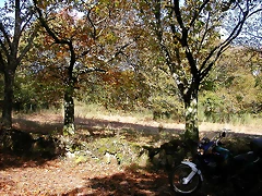 DSCN8516 DSCN8516