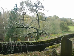DSCN8490