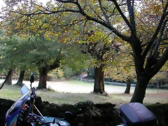 DSCN8503 DSCN8503