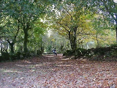 DSCN8522 DSCN8522