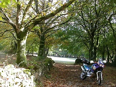 DSCN8514 DSCN8514