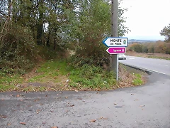 DSCN8499