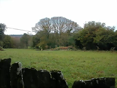 DSCN8497