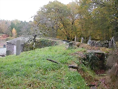 DSCN8492