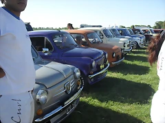SDC16959