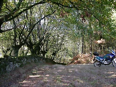 DSCN8510 DSCN8510