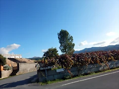 DSCN1575 DSCN1575