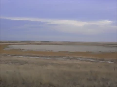R0010775
