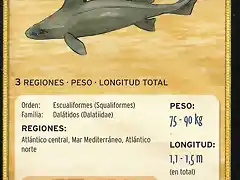 cerdo marino