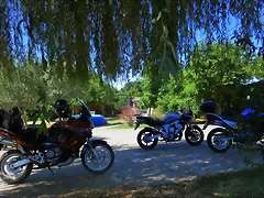 IMG_3888 IMG_3888