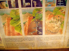 IMG_0230 IMG_0230