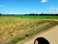 9 DSCN9418