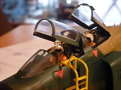 P1060835 P1060835
